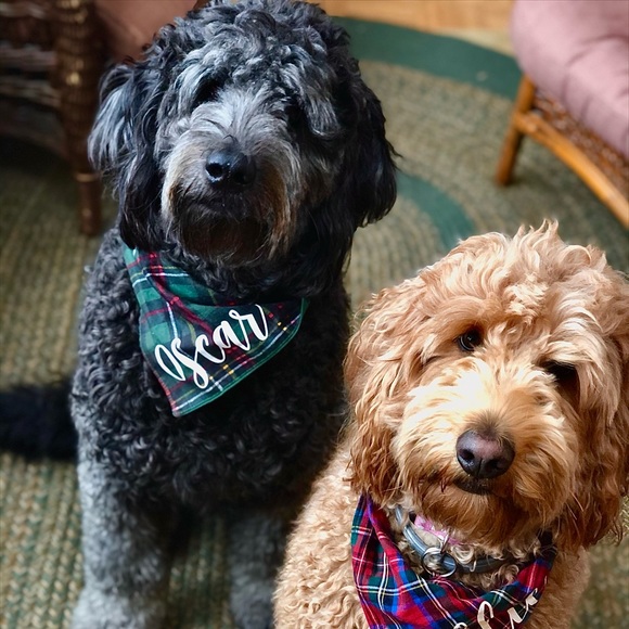 Meet your posher - Megan :) - Picture 4 of 4